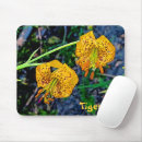 Search for tiger lily Orange