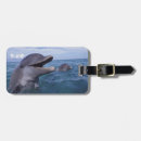 Search for habitat accessories Ocean