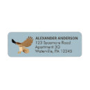 Search for hawk return address labels Red tailed hawk