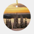 Search for winter scene christmas tree decorations Snowy