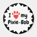 Search for pixie cat Kitty