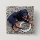 Search for innocence badges Dog
