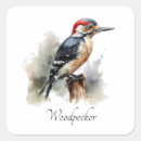 Search for woodpecker stickers Wildlife