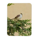 Search for postcards magnets Green