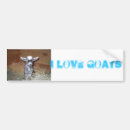 Search for dwarf bumper stickers Cute