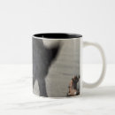 Search for santa barbara mugs Sand