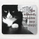 Search for bad day electronics Cat