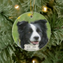 Search for black and white dog christmas tree decorations Border collie