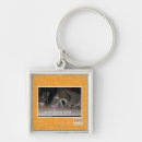Search for force square key rings I can has cheezburger