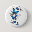 Search for flying butterfly badges Illustration