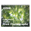 Search for mountain office supplies Trees