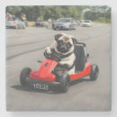 Search for going coasters Cute