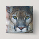 Search for cougar badges Zoo