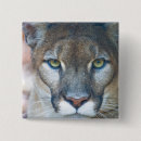 Search for cougar badges Animal