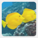 Search for ocean reef stickers Animal