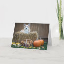 Search for dogs halloween cards Pet