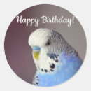Search for budgie stickers Parrot