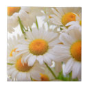 Search for daisy tiles Summer