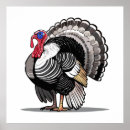 Search for wild turkeys posters Nature