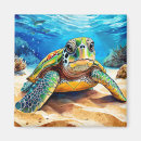 Search for turtle magnets Underwater