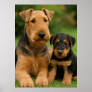 Search for airedale terrier art Puppy