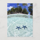 Search for south pacific ocean postcards Scenic