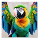 Search for parrot design posters Colourful