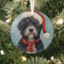 Search for portuguese christmas tree decorations Portuguese water dog
