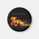 Search for new years magnets 2026