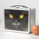 Search for kitty cat lunch boxes Pet