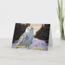 Search for snowy owl christmas cards Bird