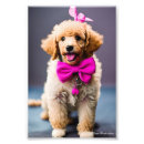 Search for poodle art posters Puppy