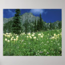 Search for beargrass Public land