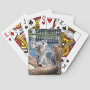 Search for koala playing cards Bear