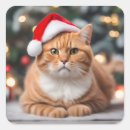 Search for funny ginger stickers Kitten