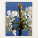 Search for spring love photography Blossoms