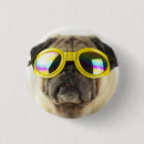 Search for pugs badges Dog