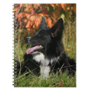 Search for bob and pam langrish Panting