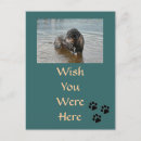 Search for dog bones postcards Canine