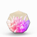 Search for crocus home living Blossom