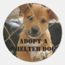 Search for adopt a shelter dog stickers Rescue