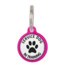 Search for trained pet supplies In training