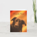 Search for black dog cards Animal