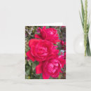 Search for three roses cards Floral