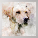 Search for labrador retriever posters Head