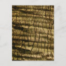 Search for bark invitations Tree