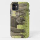 Search for indian elephant iphone cases Asian