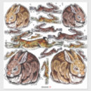 Search for brown easter bunny stickers Animal