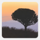 Search for silhouetted stickers Tree