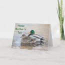 Search for fowl cards invites Mallard